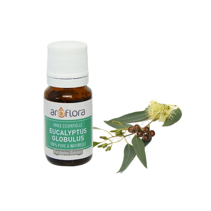 Eucalyptus globulus, huile essentielle 80% BIO d'Espagne